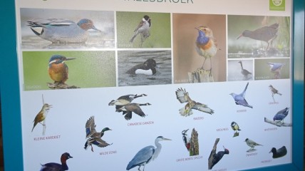 Bezoek aan natuurgebied Winkelsbroek in Turnhout