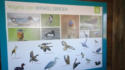 Ontdekkingstocht in natuurgebied Winkelsbroek